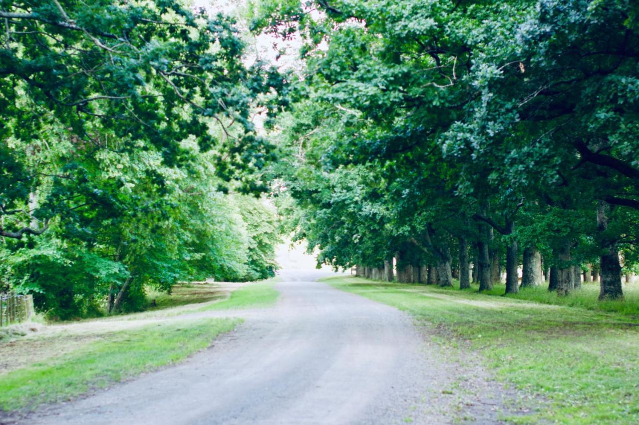Wallingford Homestead Экстерьер фото